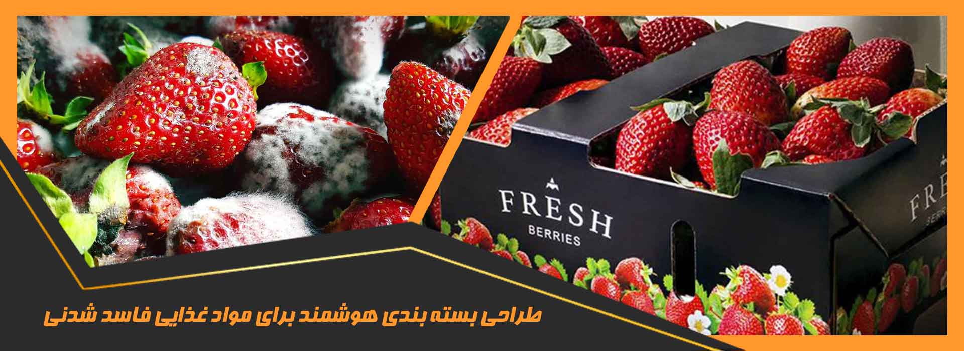 مواد غذایی فاسد شدنی